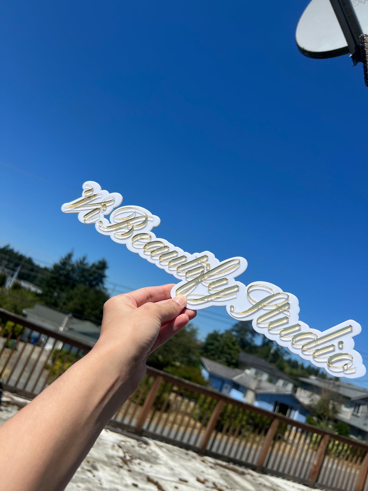 3D Acrylic Business Sign
